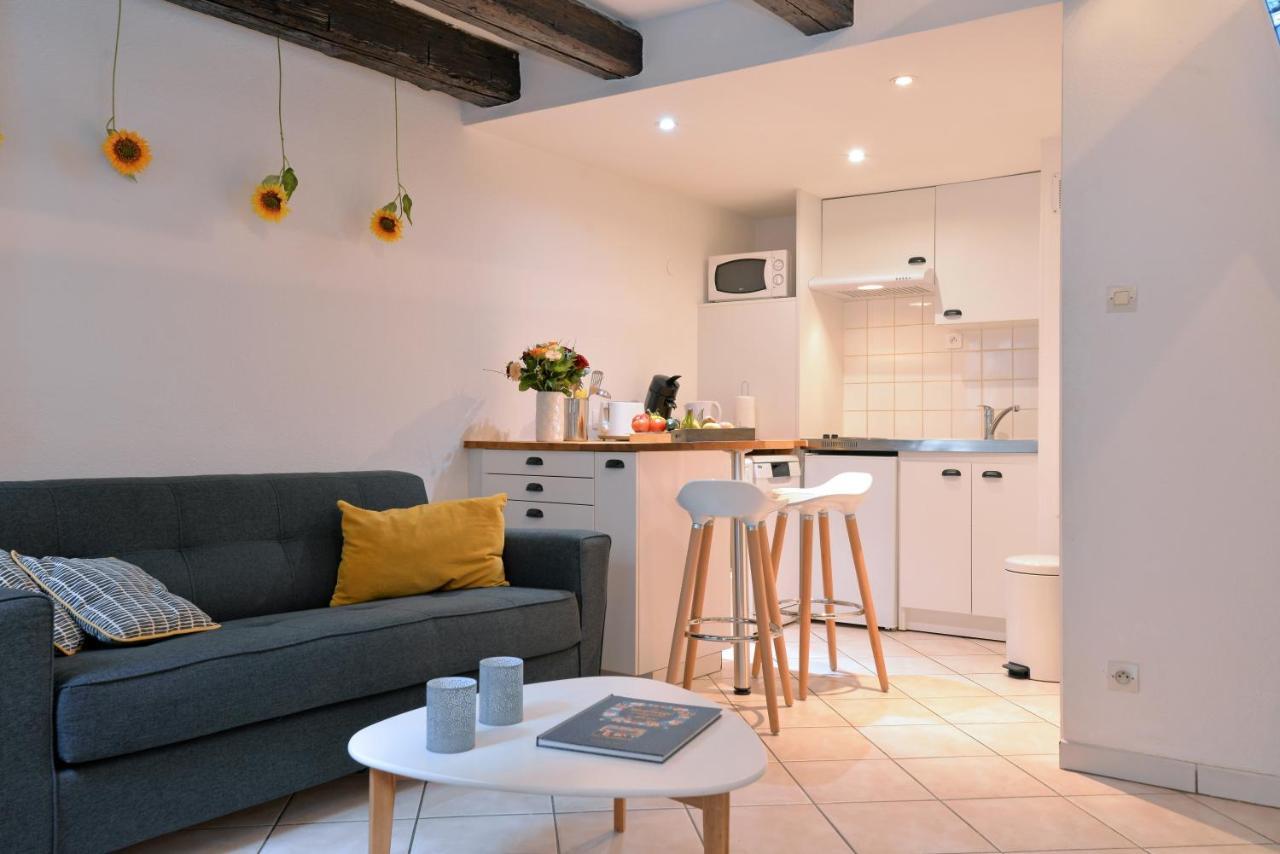 Appartement La Terrasse Sur Cour Колмар Екстериор снимка