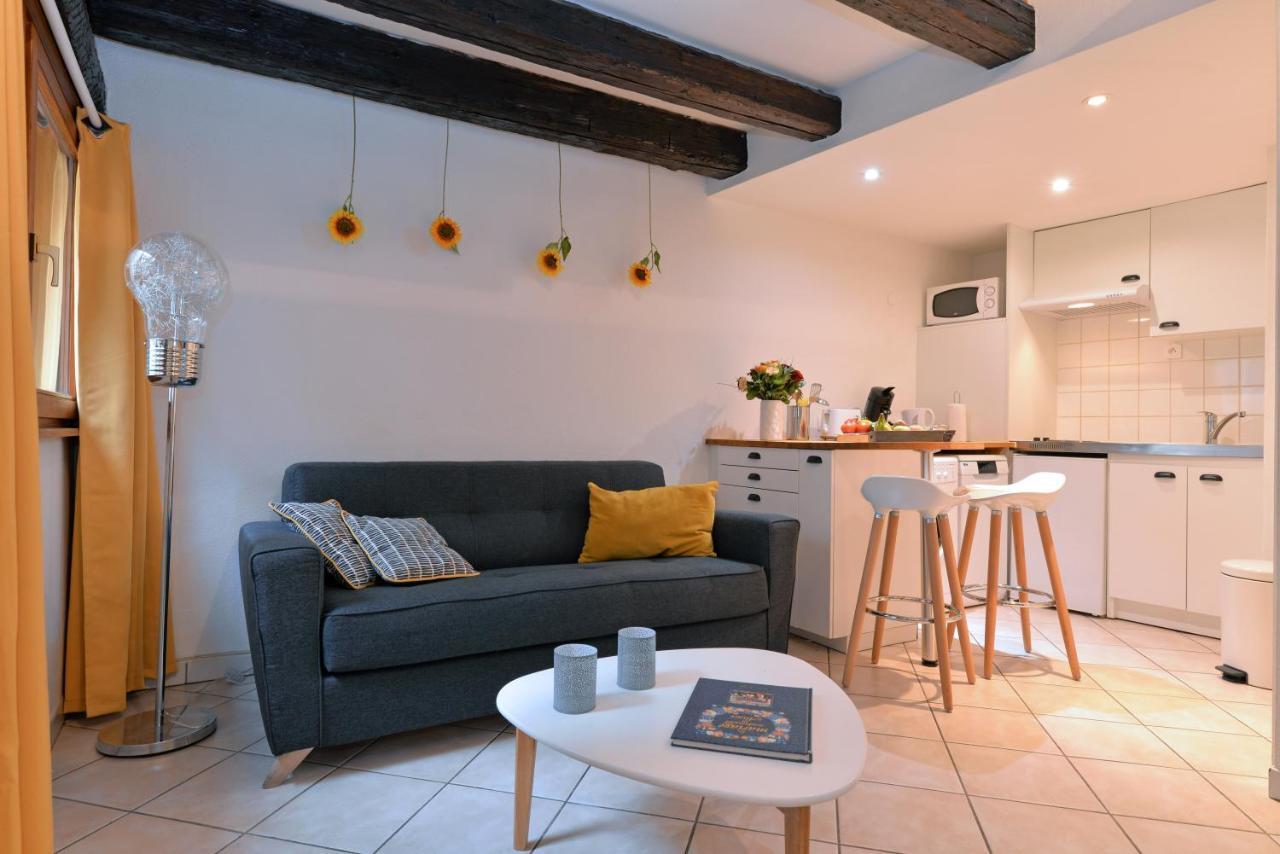 Appartement La Terrasse Sur Cour Колмар Екстериор снимка