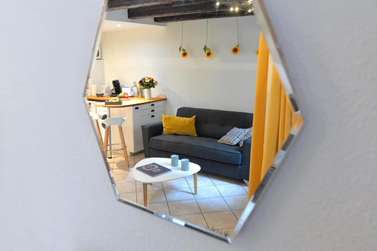 Appartement La Terrasse Sur Cour Колмар Екстериор снимка